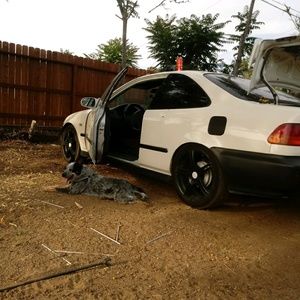 Meet your Posher, Michelle